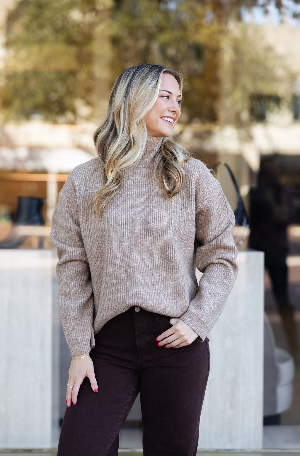 Solid Turtleneck Sweater