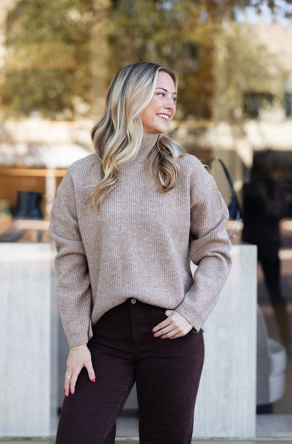 Solid Turtleneck Sweater