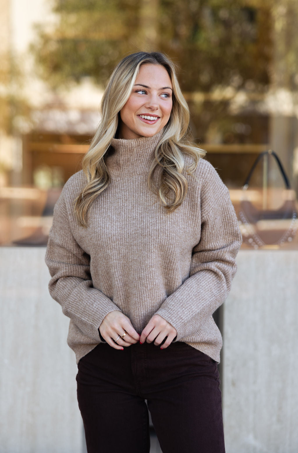 Solid Turtleneck Sweater