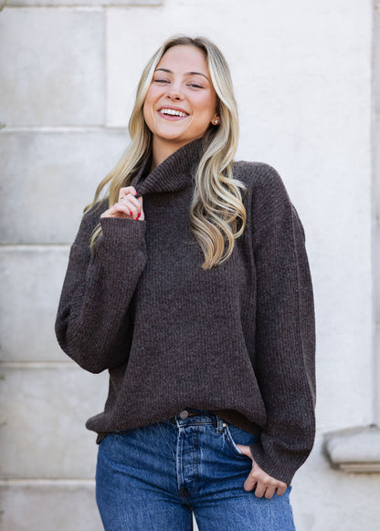 Solid Turtleneck Sweater